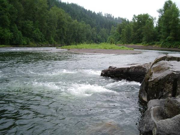 Sandy River (6/4/2007)