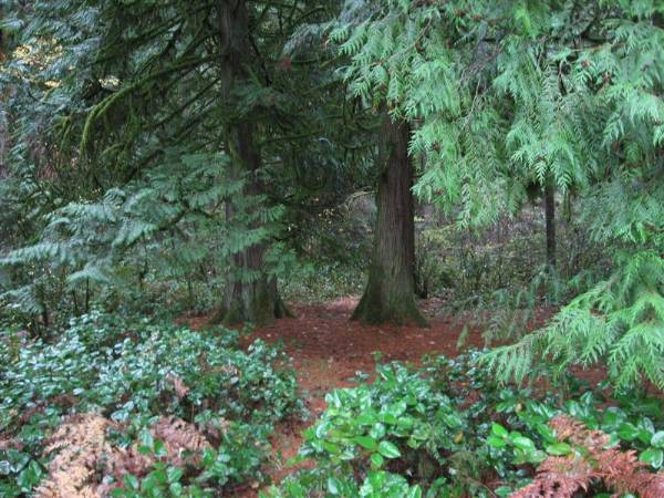 Oxbow Park (11/3/2008 - Credits: Bob Schmaling)