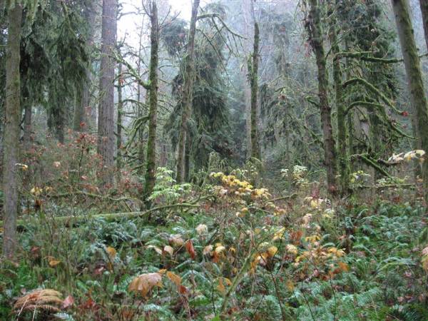 Oxbow Park (11/3/2008 - Credits: Bob Schmaling)