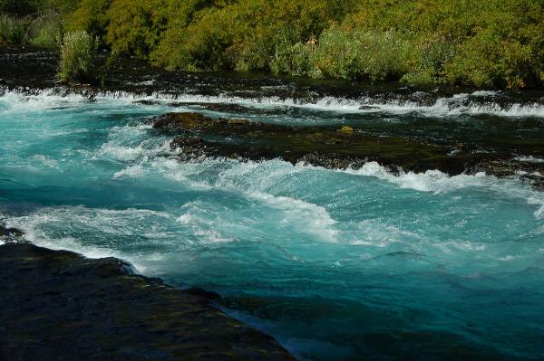 Metolius River (7/31/2009 - Credits: Taken from web)