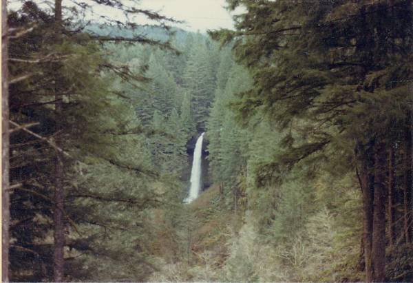 Silver Falls State Park (8/29/2006 4:47:53 PM)