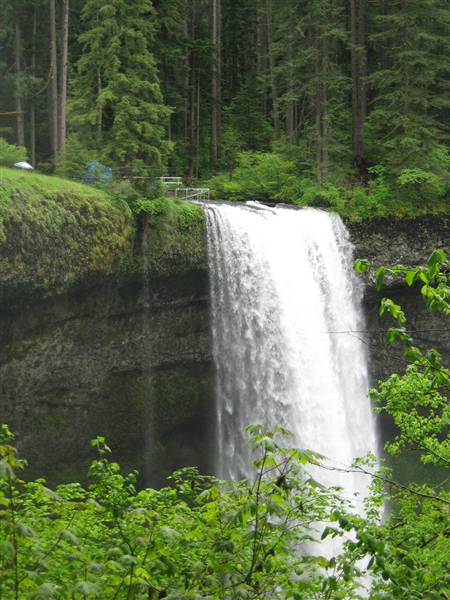 Silver Falls State Park (6/8/2010 - Credits: J Ridley)