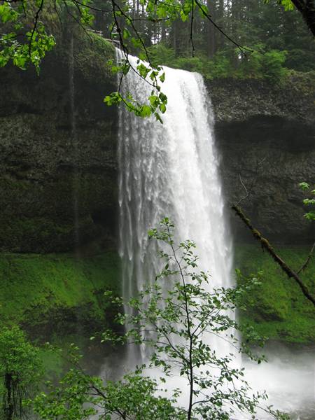 Silver Falls State Park (6/8/2010 - Credits: J Ridley)