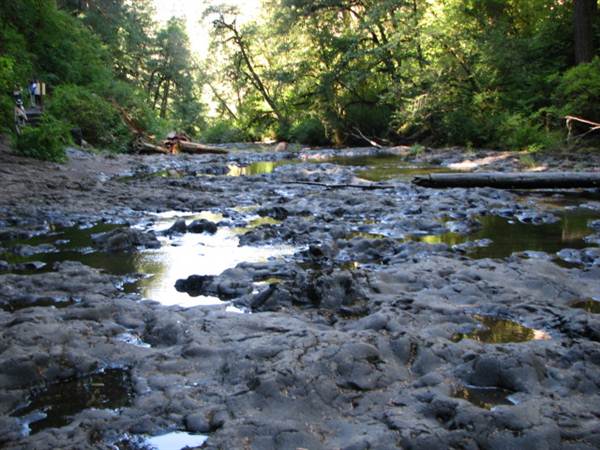 Silver Falls State Park (8/24/2011)