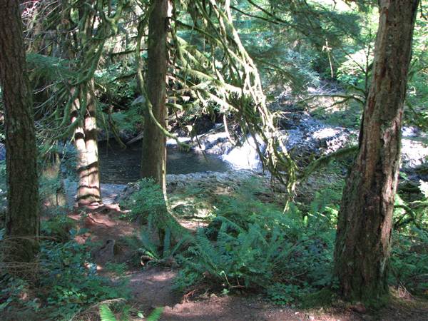 Silver Falls State Park (8/24/2011)