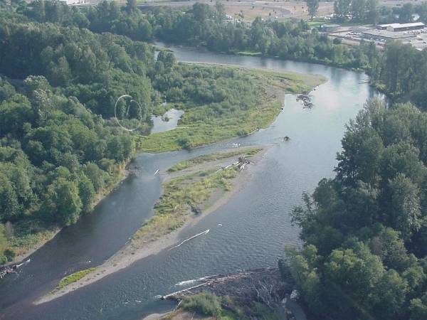 McKenzie River (9/7/2006 6:38:10 PM)