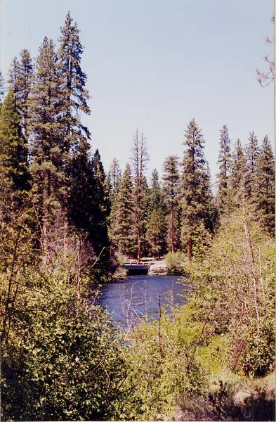 Metolius River (9/7/2006 6:43:31 PM)