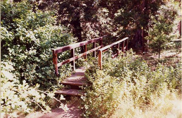 Metolius River (9/7/2006 6:44:59 PM)