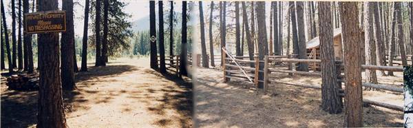 Metolius River (9/7/2006 6:49:59 PM)