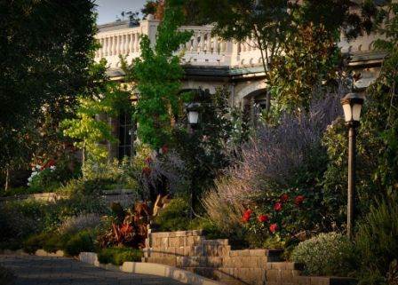 Belle Fiore Winery