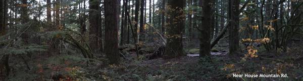 Silver Falls State Park (10/5/2015)