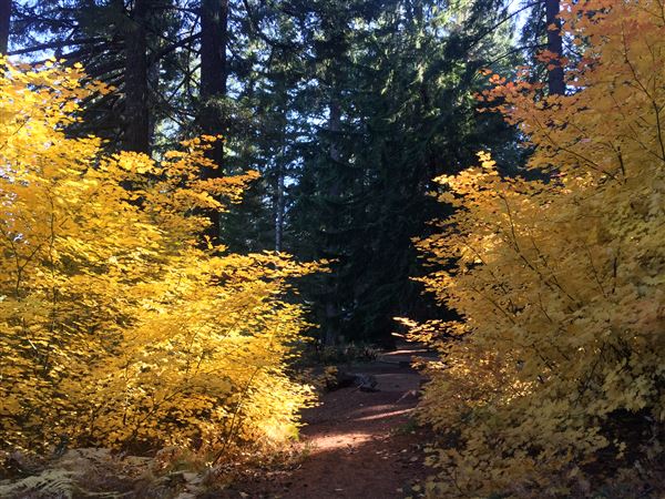 Clear Lake (10/15/2018 - Credits: Sandy Henderson)
