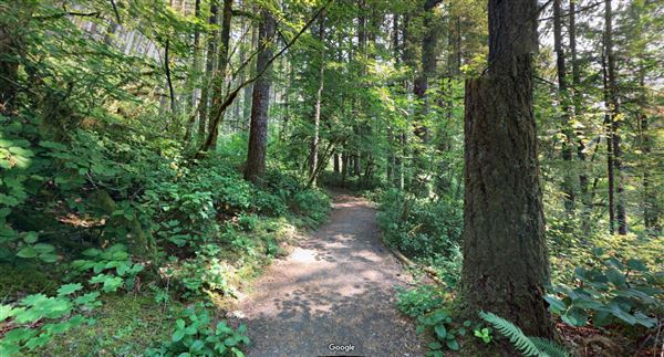 Silver Falls State Park (5/6/2019)