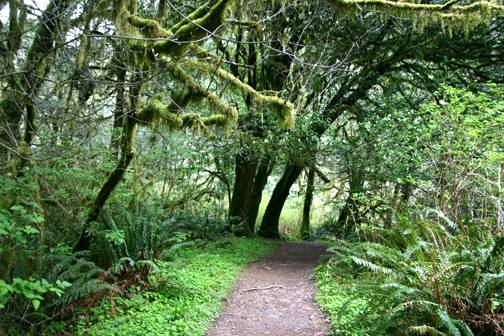 Golden and Silver Falls State Natural Area (4/20/2006 - Credits: Matt Petras)