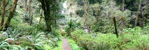 Golden and Silver Falls State Natural Area (4/20/2006 - Credits: Matt Petras)