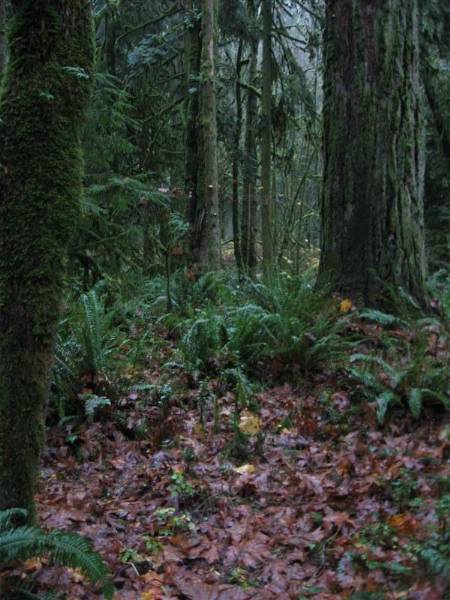 Oxbow Park (11/3/2008 - Credits: Bob Schmaling)