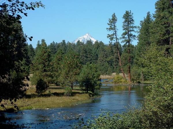 Metolius River (7/31/2009 - Credits: Taken from web)