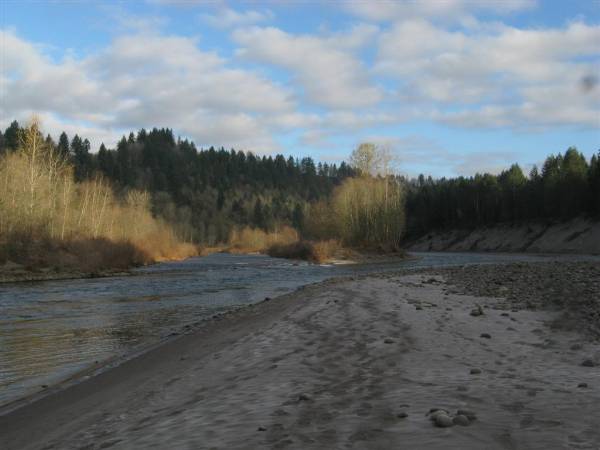 Oxbow Park (1/29/2010)