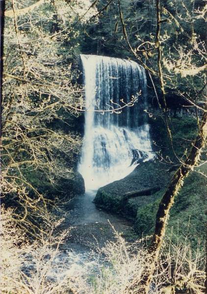 Silver Falls State Park (8/29/2006 4:47:54 PM)