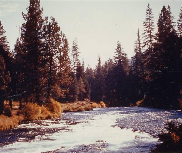 Metolius River (9/7/2006 6:43:29 PM)