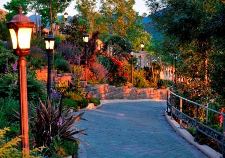 Belle Fiore Winery