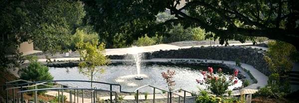 Belle Fiore Winery