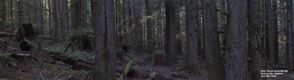 Silver Falls State Park (10/5/2015)