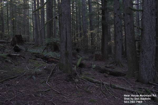 Silver Falls State Park (10/5/2015)