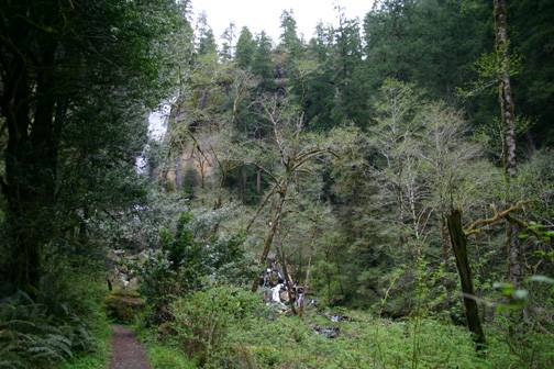 Golden and Silver Falls State Natural Area (4/20/2006 - Credits: Matt Petras)