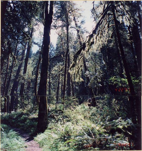 Oxbow Park (7/28/2006 2:33:16 PM)