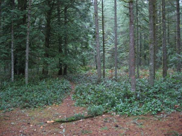 Oxbow Park (11/3/2008 - Credits: Bob Schmaling)
