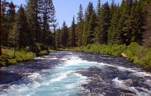 Metolius River (7/31/2009 - Credits: Taken from web)