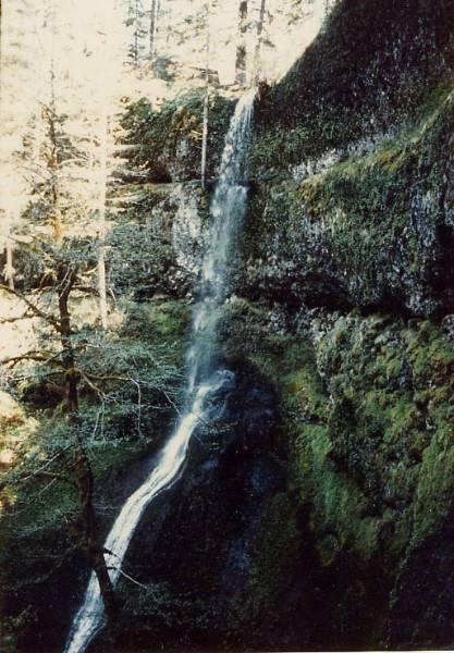 Silver Falls State Park (8/29/2006 4:47:54 PM)