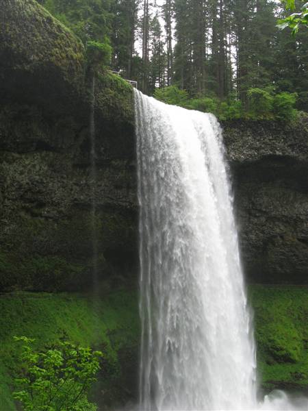 Silver Falls State Park (6/8/2010 - Credits: J Ridley)