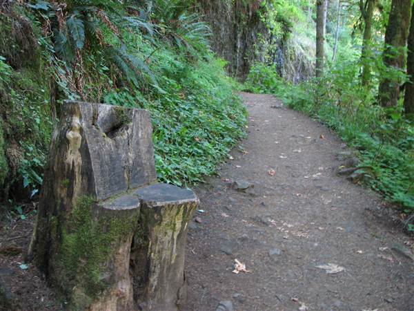 Silver Falls State Park (8/24/2011)
