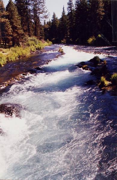 Metolius River (9/7/2006 6:43:29 PM)
