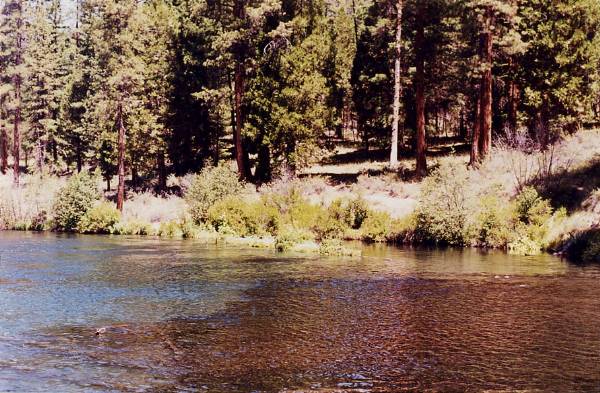 Metolius River (9/7/2006 6:44:58 PM)