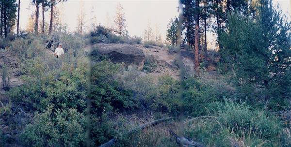 Metolius River (9/7/2006 6:49:56 PM)