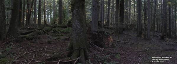 Silver Falls State Park (10/5/2015)