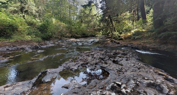 Silver Falls State Park (5/6/2019)