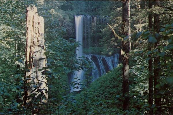 Silver Falls State Park - Middle North Falls (7/3/2007)