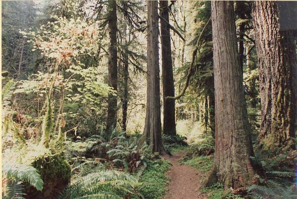 Oxbow Park (7/28/2006 2:27:05 PM)