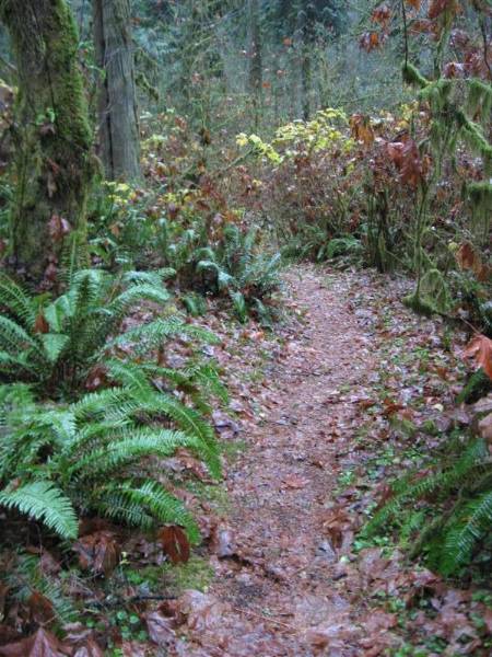 Oxbow Park (11/3/2008 - Credits: Bob Schmaling)