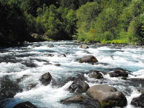 McKenzie River (10/24/2012)