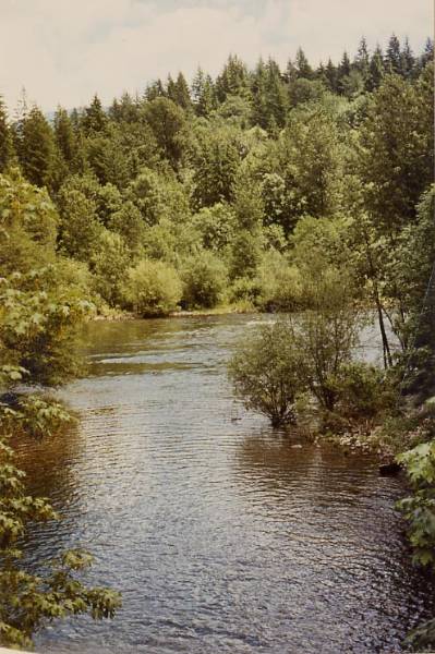 McKenzie River (9/7/2006 6:36:50 PM)
