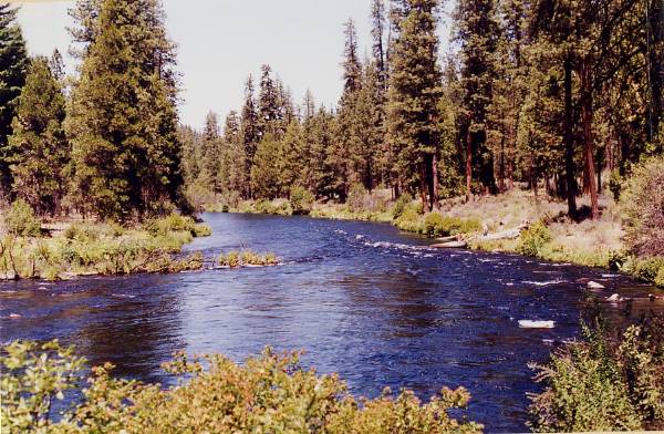 Metolius River (9/7/2006 6:43:30 PM)