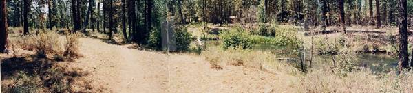 Metolius River (9/7/2006 6:51:51 PM)