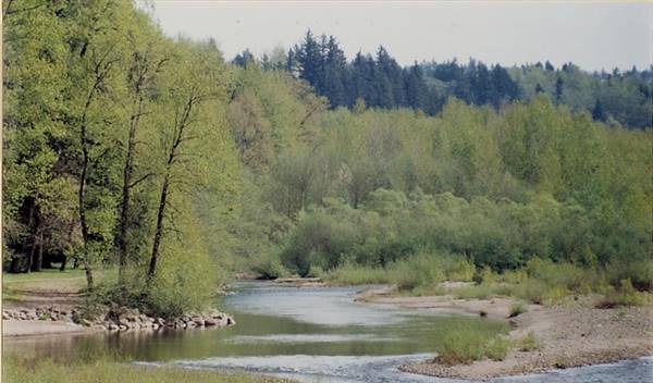 Sandy River (9/11/2006 12:18:43 PM)