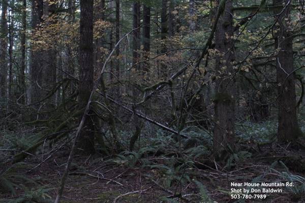 Silver Falls State Park (10/5/2015)