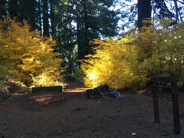 Clear Lake (10/15/2018 - Credits: Sandy Henderson)
